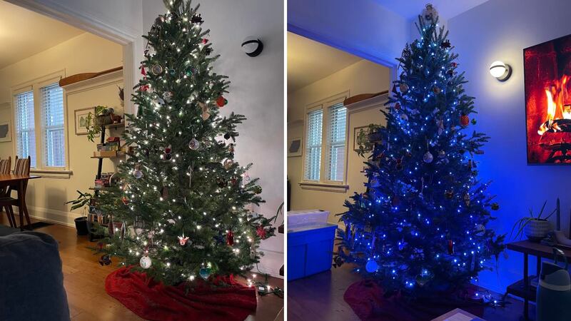 The lights on a tree showing two different effects.