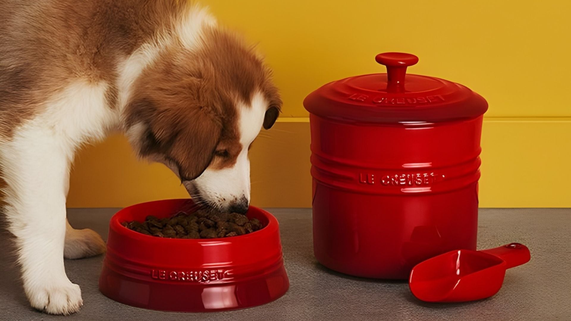 A dog eating out of a Le Creuset bowl.