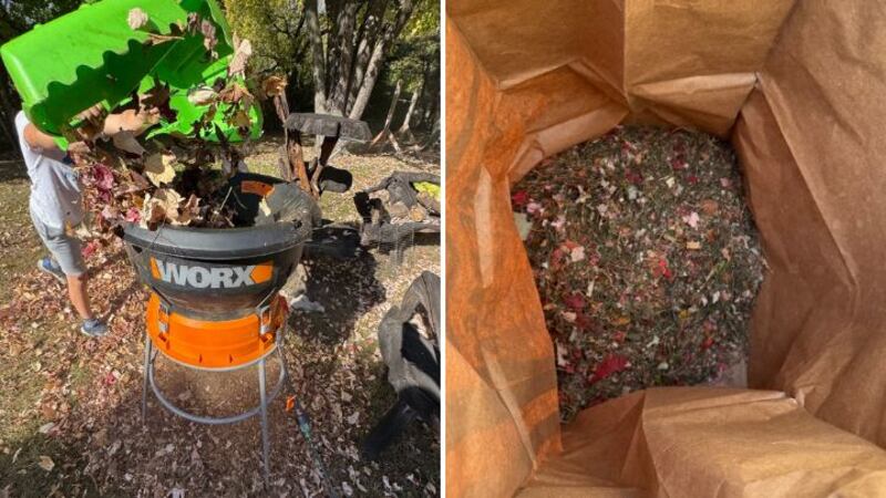 Split image of WORX 13 Amp Electric Leaf Mulcher and leaf mulch in a bag