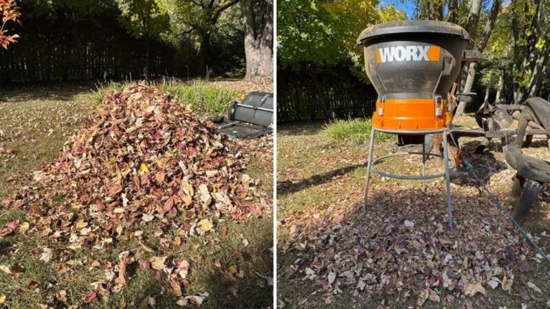 Split image of before and after a pile of leaves