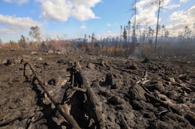 N.S. government launches financial support program for Lake George wildfire evacuees
