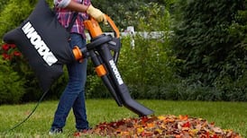 Our Guide To The Best Leaf Blowers In Canada In 2025 (And Where To Get Them)